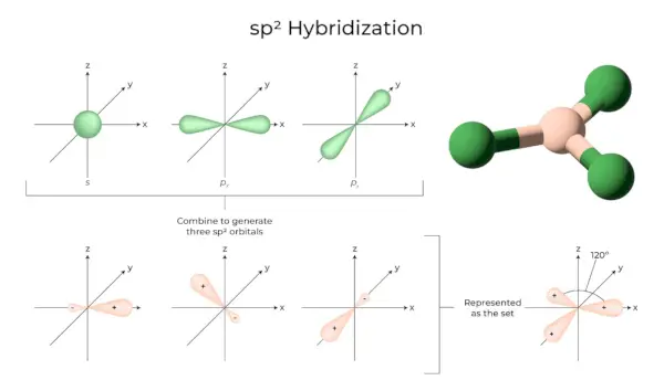 sp2 Ibridazione