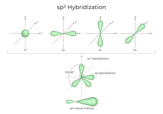 sp3 Ibridazione