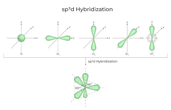 sp3d Ibridazione