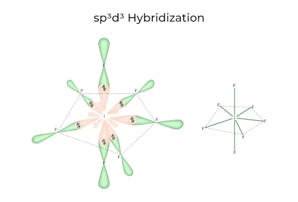 sp3d3 Ibridazione