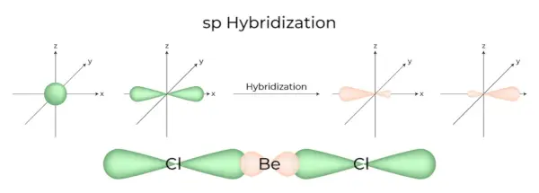 sp Ibridazione
