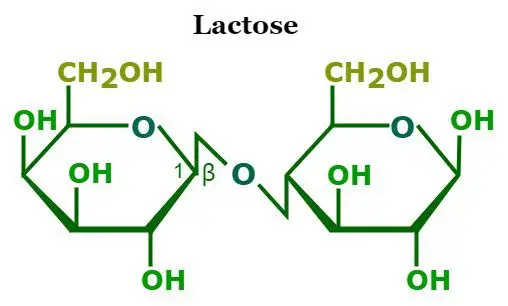 Laktoosin rakenne