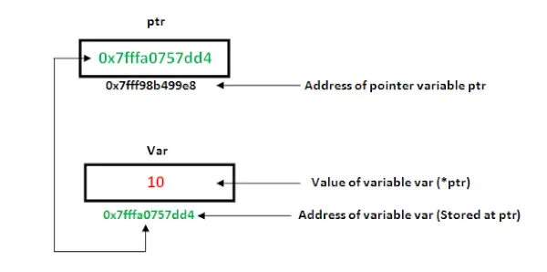 Ukazovatele v C++
