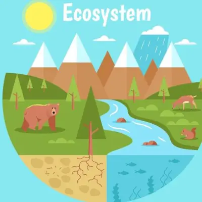 Ekosysteemi