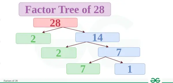 Factor-arbre-de-28