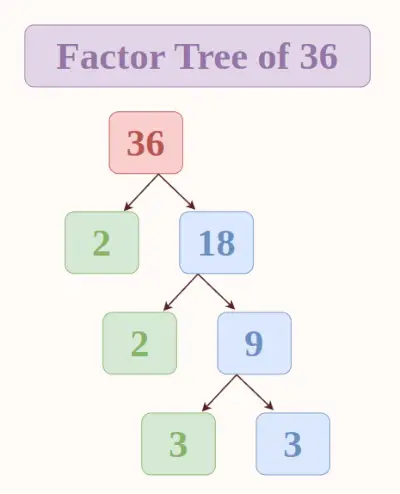 Arbre de factors de 36