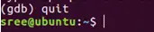 quit_gdb