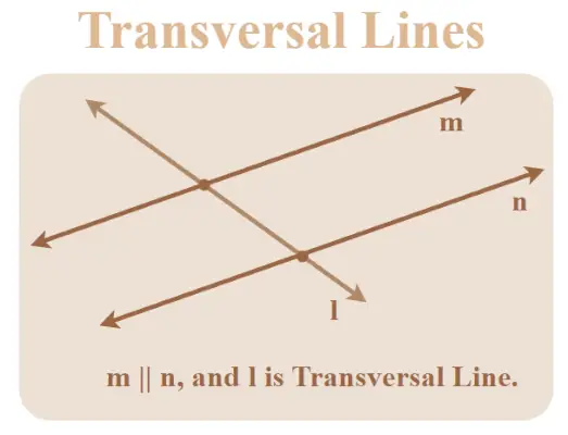 Skersinės linijos