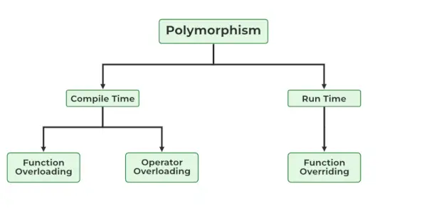 typer af polymorfi