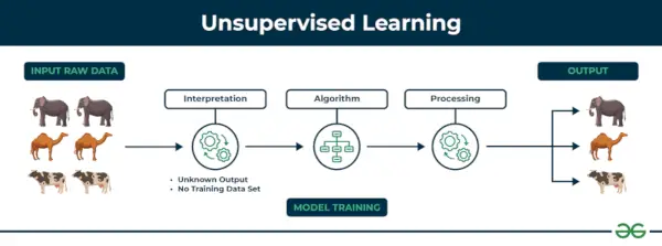 Apprendimento non supervisionato