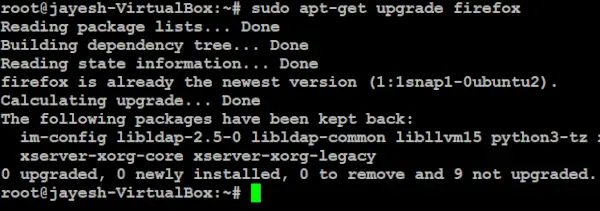 sudo apt-get oppgradering