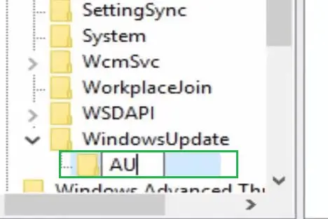 11--AU