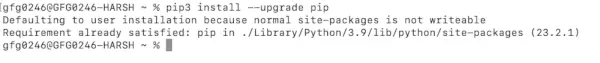 Windows에서 Python 버전 확인