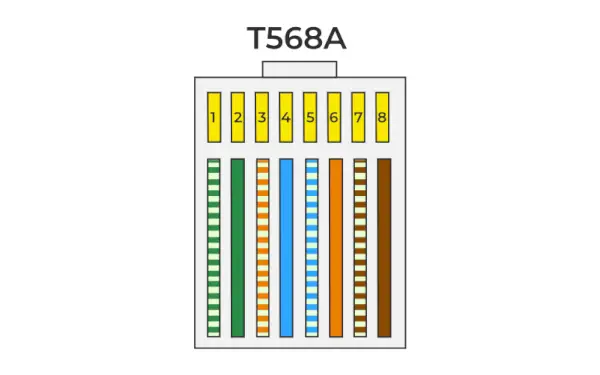 T568A