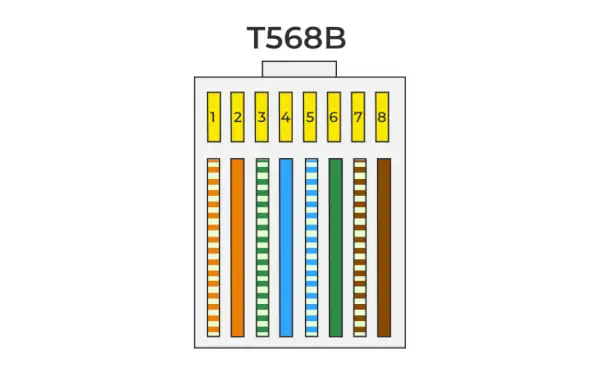 T568B