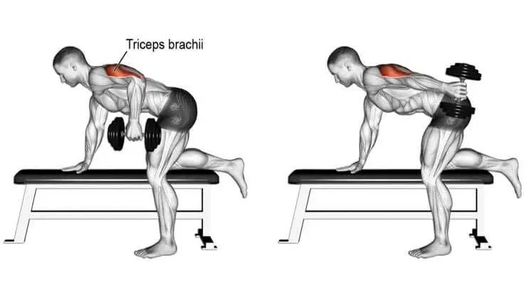 Alternatives de Dips