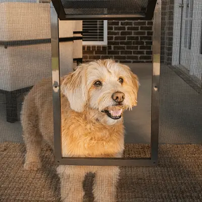 Doggie Door alternative