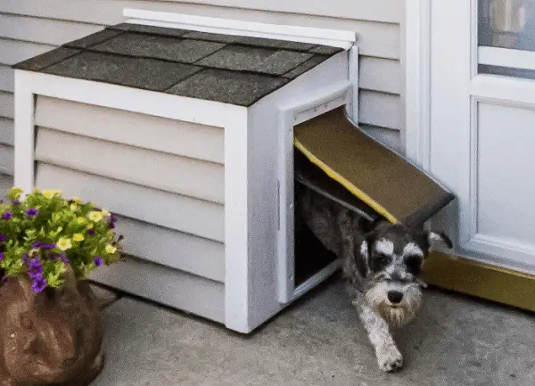 Doggie Door alternative