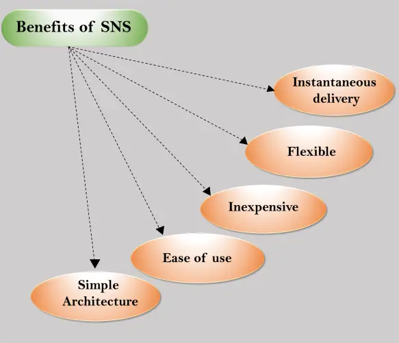 SNS