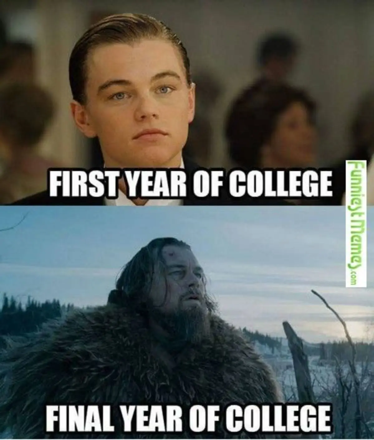 kūnas-meme-senėjimas-kolegija-studentas-dicaprio