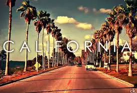 body_californie