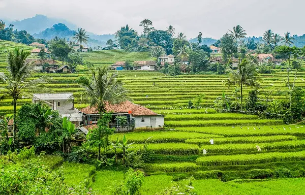 Ilha de Java