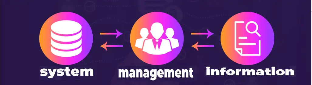 Kaj je MIS (Management Information System)?