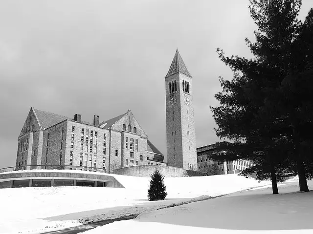 Cornell-Universität-1178565_640