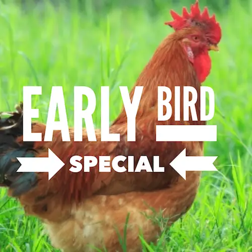 body_earlybirdspecial.webp