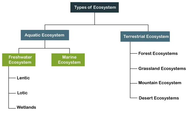 Tipus d'ecosistemes