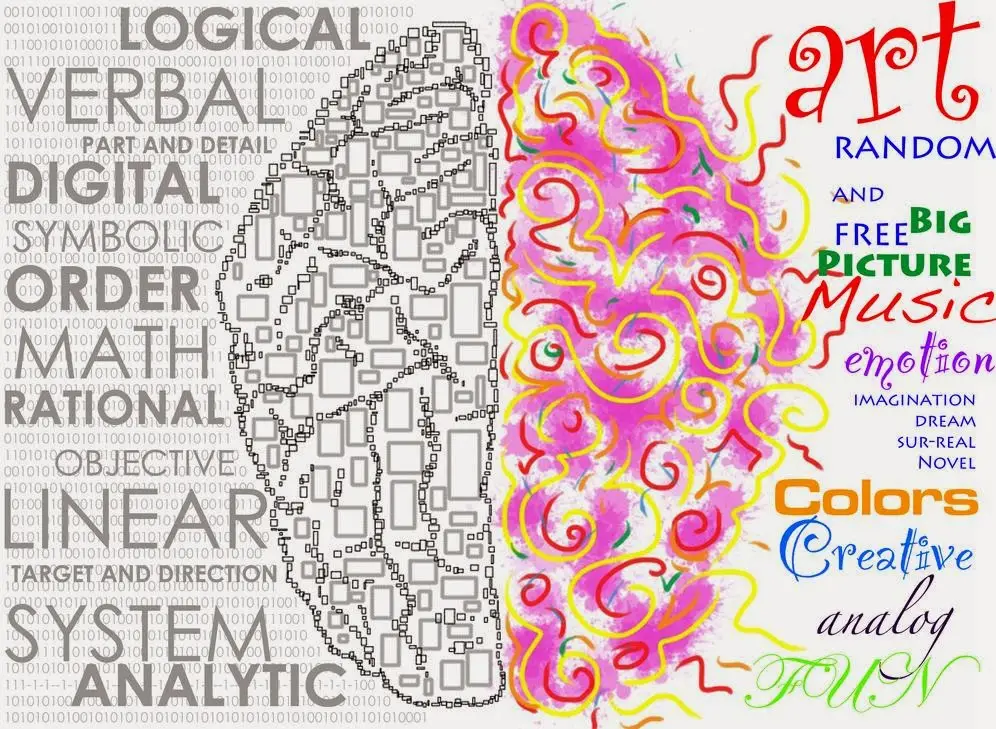 Cerveau gauche ou droit