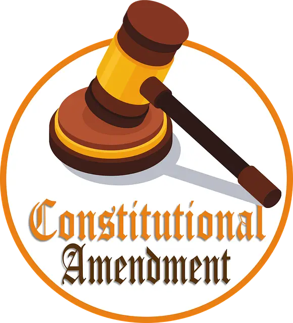 feature_constitution