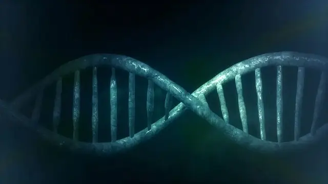 体の細胞DNA