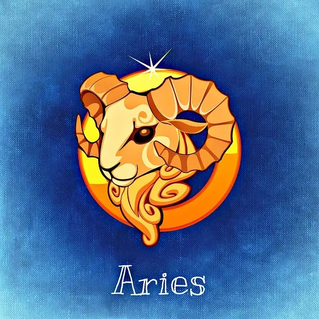 características_aries