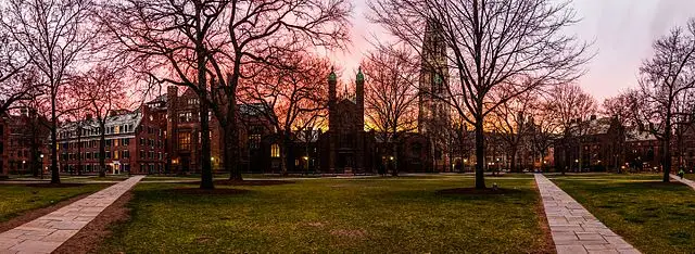 cuerpo_yale_campus_anochecer