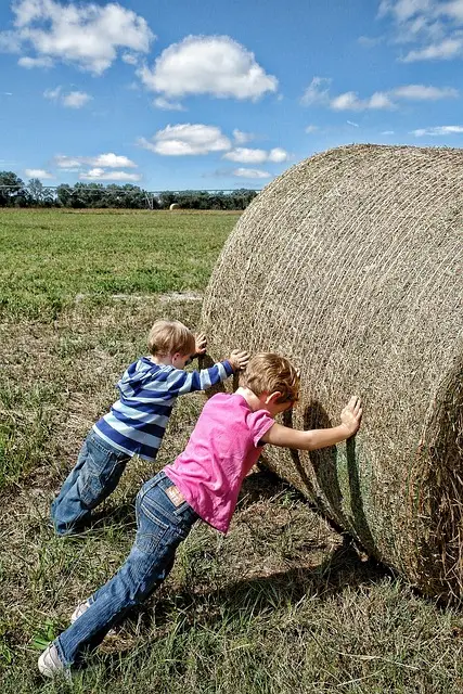 body-hay-bale-timsko delo-cc0-pixabay