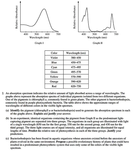 body_longfreeresponse.webp