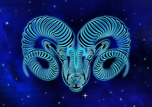 test-kos-kos-zodiákus