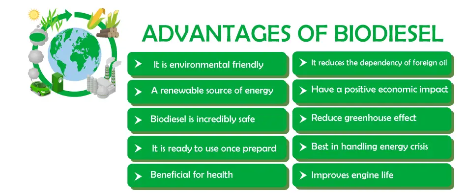 Vantaggi e svantaggi del biodiesel