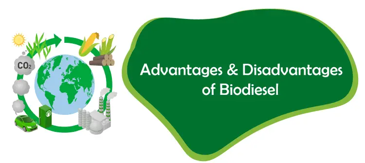 Vor- und Nachteile von Biodiesel