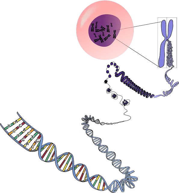 característica_dna-cc0