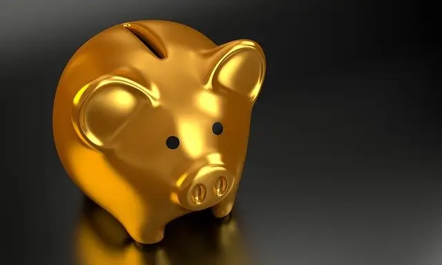 Körper-Gold-Sparschwein-Geld