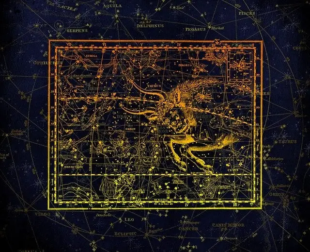 característica-taure-taure