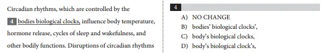 body_writing_standard_english_conventions_question.webp