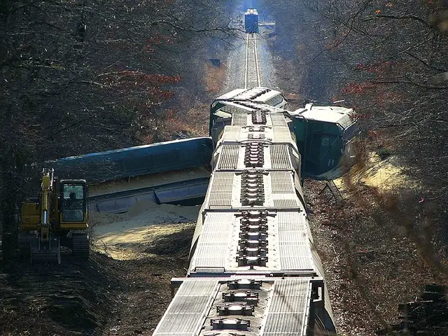 corpo-treno-incidente-deragliare-cc0