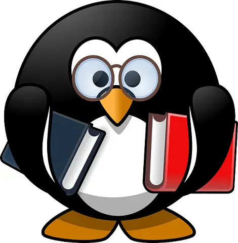 body_penguinnotes.webp