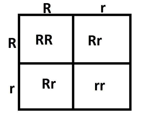 ген2