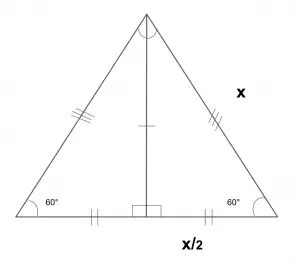 cuerpo_prueba-final-300x262