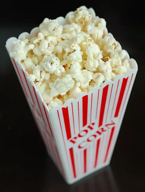 body_popcorn-2.webp