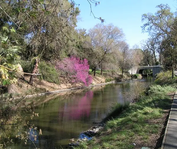 cos_ucdavisarboretum